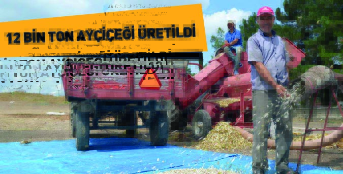 12 bin ton Ayçiçeği üretildi