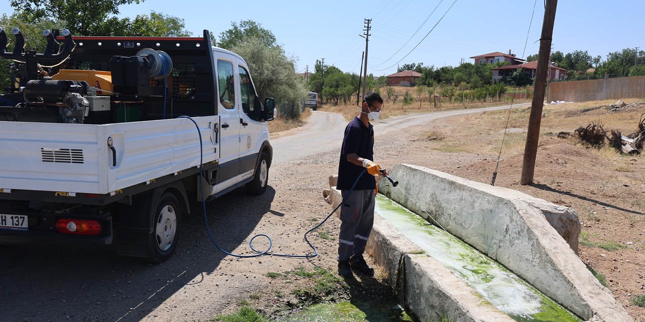Kırıkkale’nin her yeri böceklere karşı ilaçlanıyor