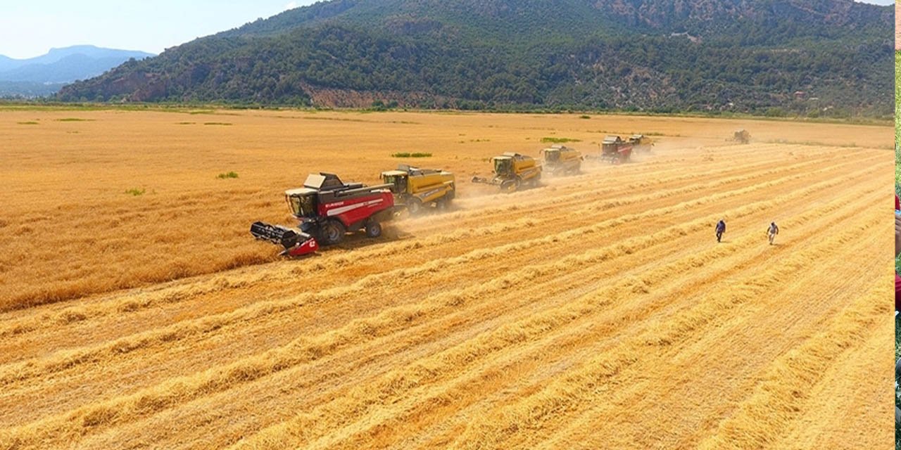 Tarımsal girdi fiyat endeksi arttı