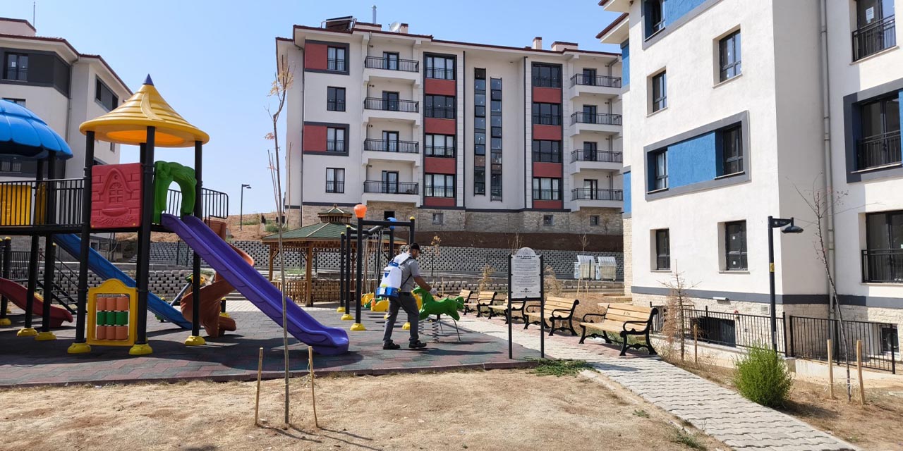 Delice’de haşereyle mücadele ediliyor
