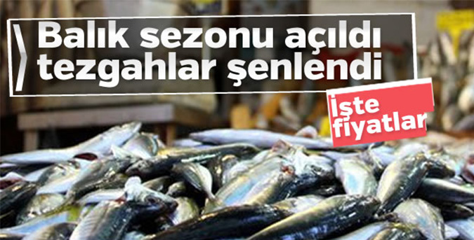 Balık sezonu açıldı