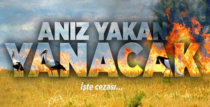 Anız yakmayın!