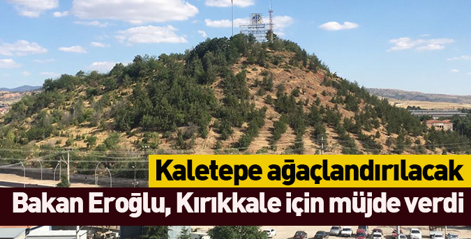 Kaletepe ağaçlandırılacak