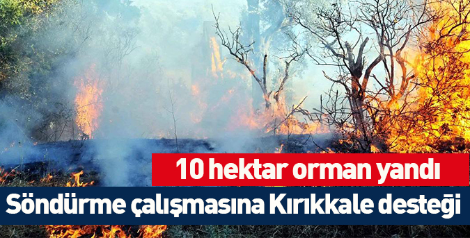 10 hektarlık meşelik orman yandı