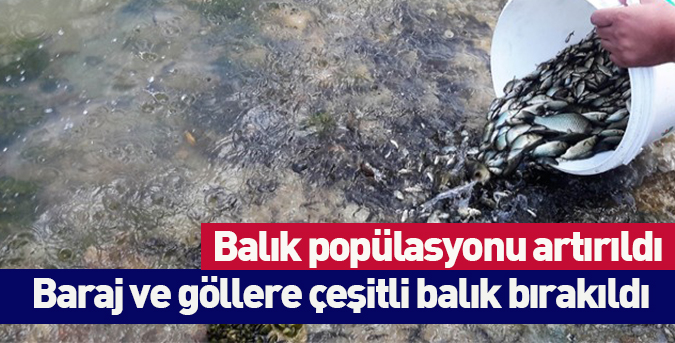 Balık popülasyonu artırıldı