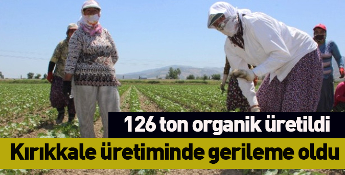 126 ton organik üretildi