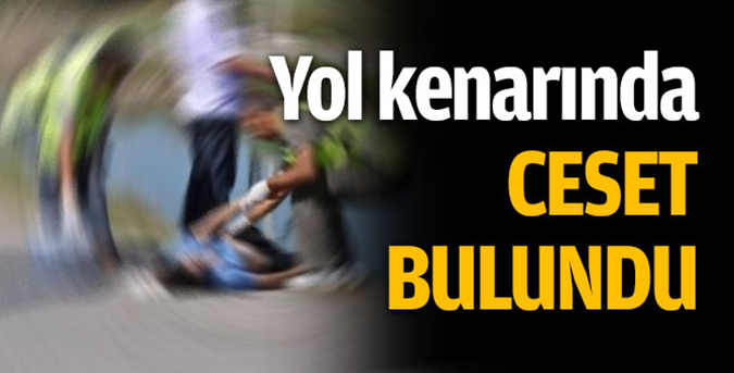 Yol kenarında ceset bulundu