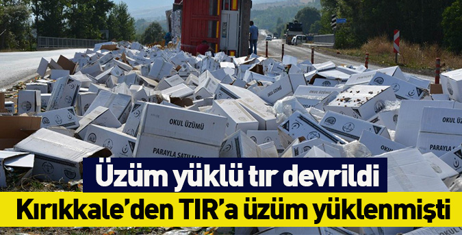 Üzüm yüklü TIR devrildi