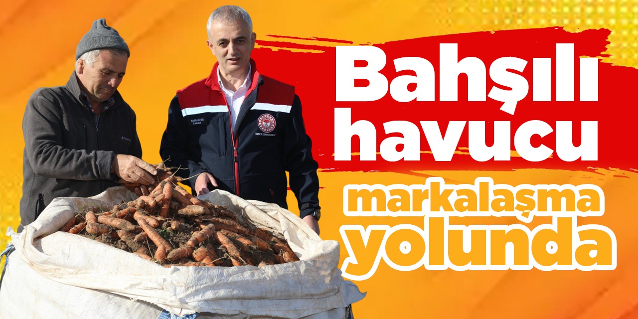 Bahşılı havucu markalaşma yolunda