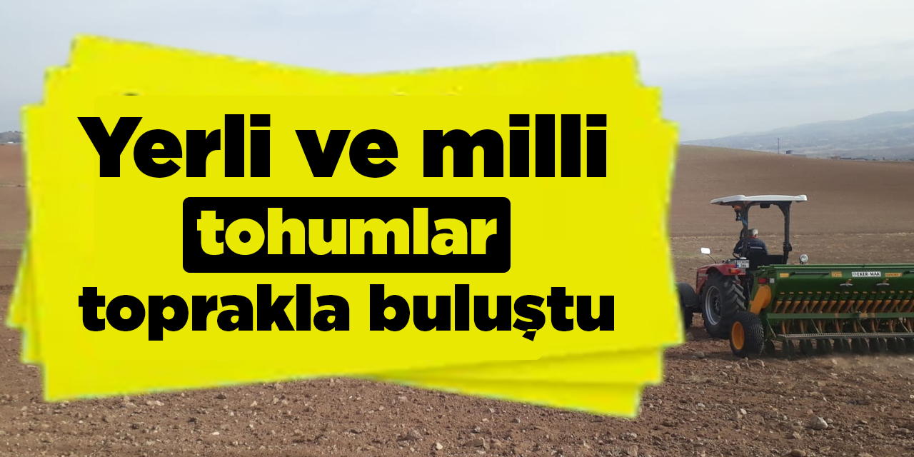 Yerli ve milli tohumlar toprakla buluştu