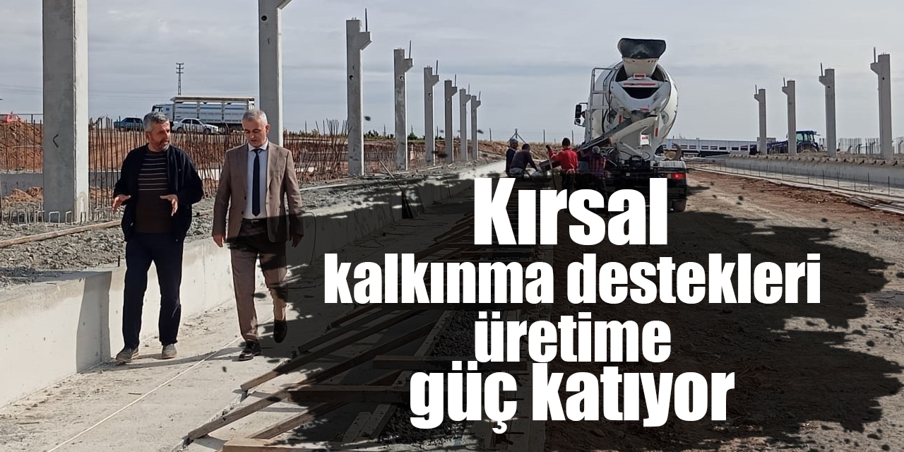 Kırsal kalkınma destekleri üretime güç katıyor