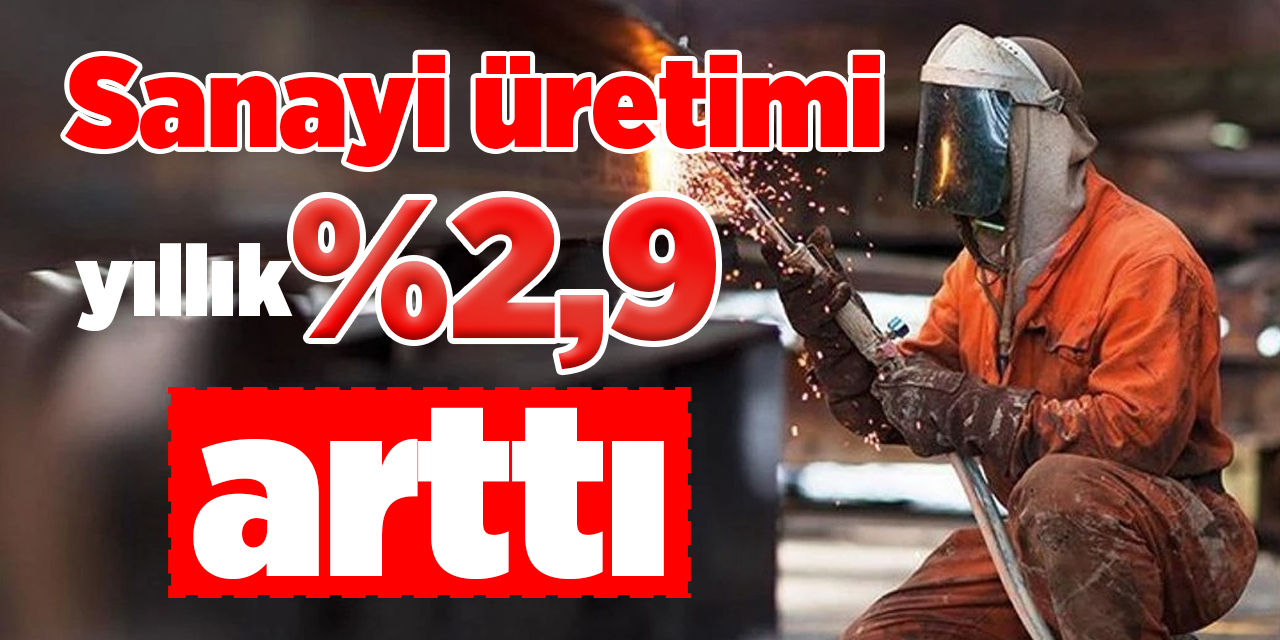 Sanayi üretimi yıllık %2,9 arttı