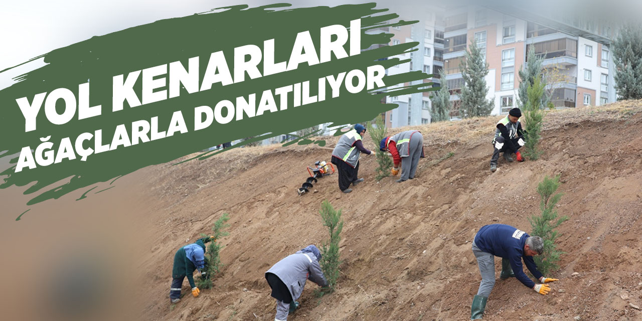 Yol kenarları ağaçlarla donatılıyor