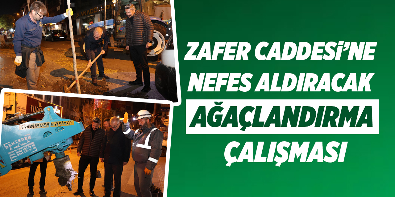 Zafer Caddesi’ne nefes aldıracak ağaçlandırma çalışması