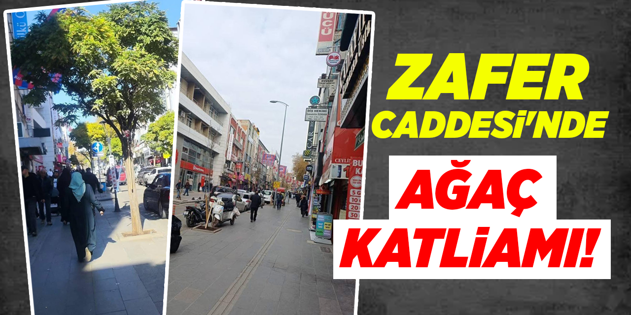 Zafer Caddesi’nde ağaç katliamı!