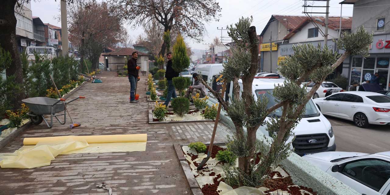 Sanayi alanı ağaçlandırılıyor
