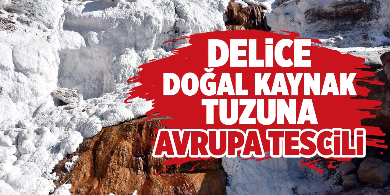 Delice doğal kaynak tuzuna Avrupa tescili