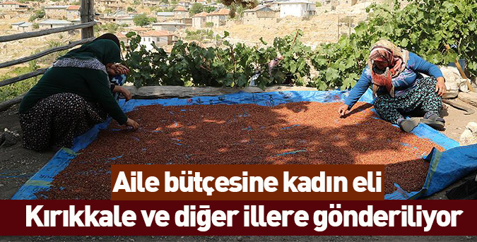 Aile bütçesine kadın eli