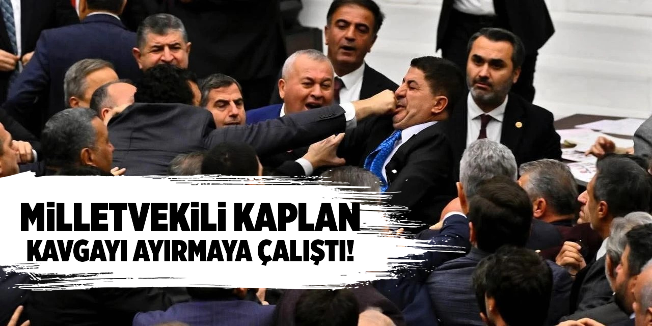 Milletvekili Kaplan, kavgayı ayırmaya çalıştı!