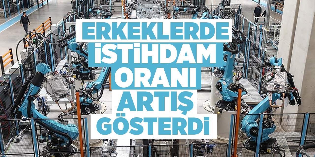 Erkeklerde istihdam oranı artış gösterdi