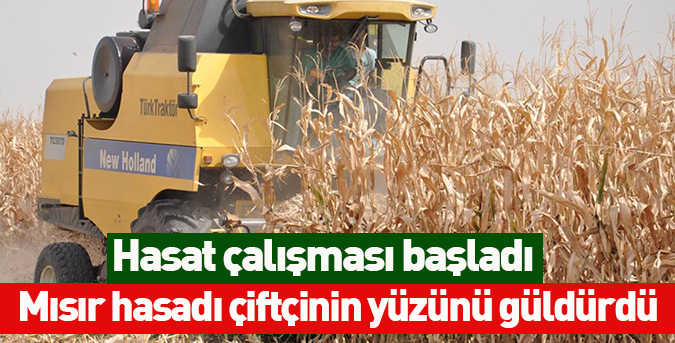 Mısır hasadı yüz güldürüyor