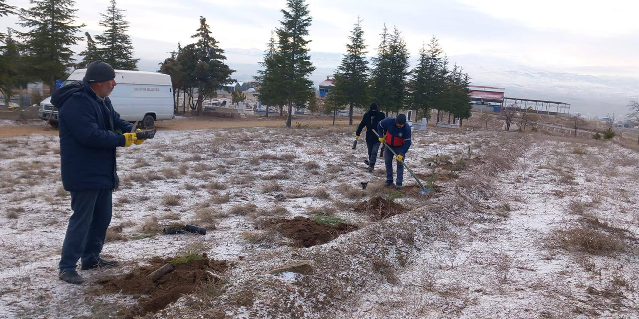 Balışeyh’te mezarlıklara fidanlar dikildi