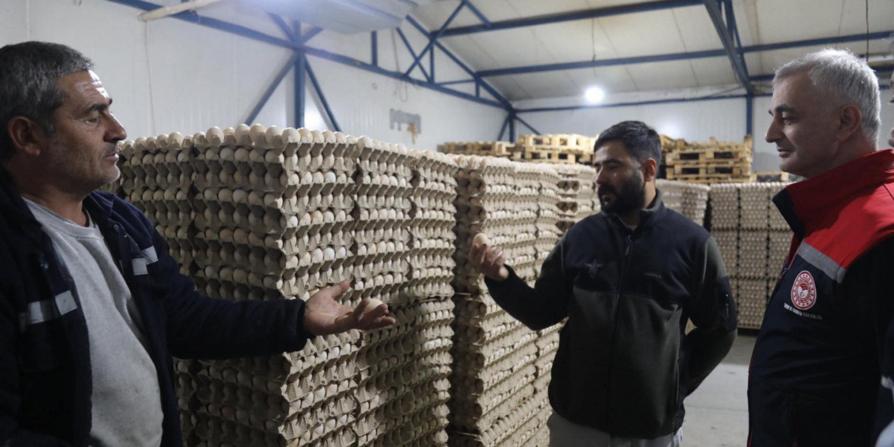 Balışeyh’te bu işletme günlük binlerce yumurta üretiyor