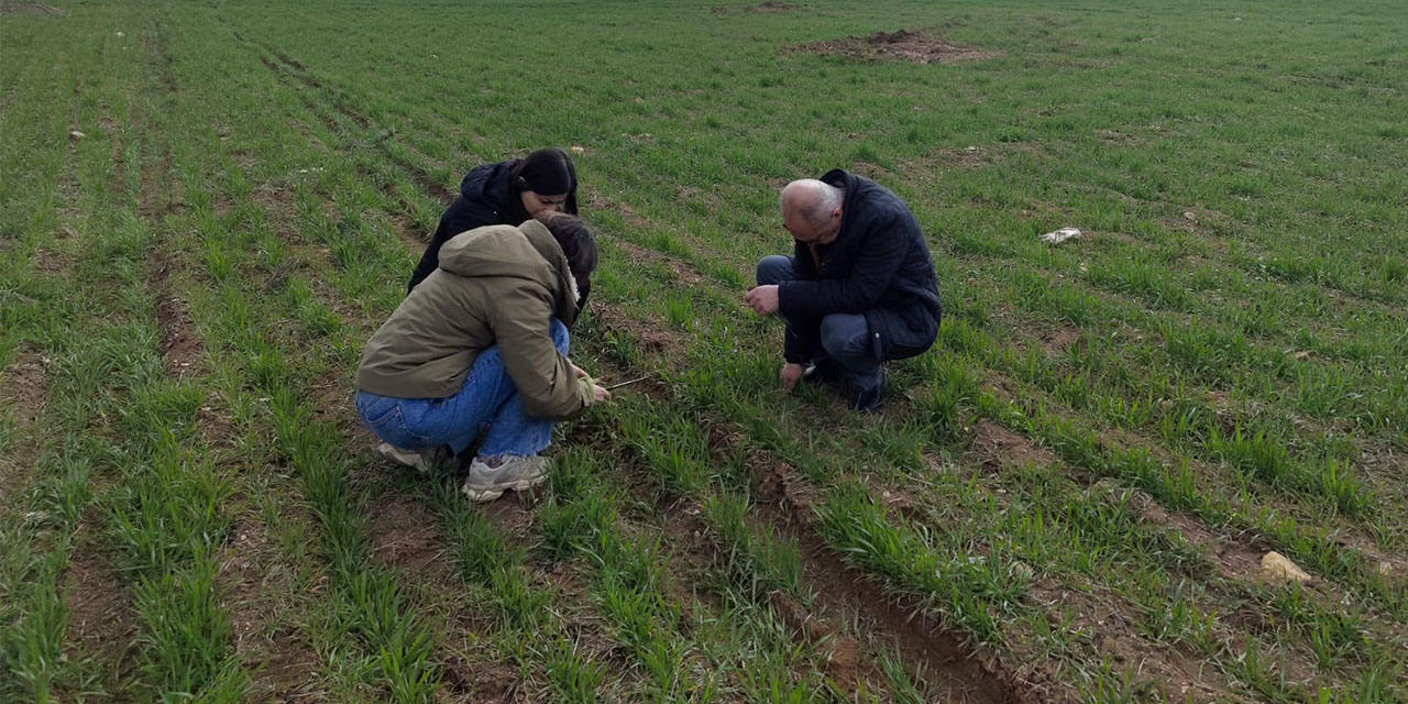 Tarım arazilerinin üretim durumuna sıkı takip!