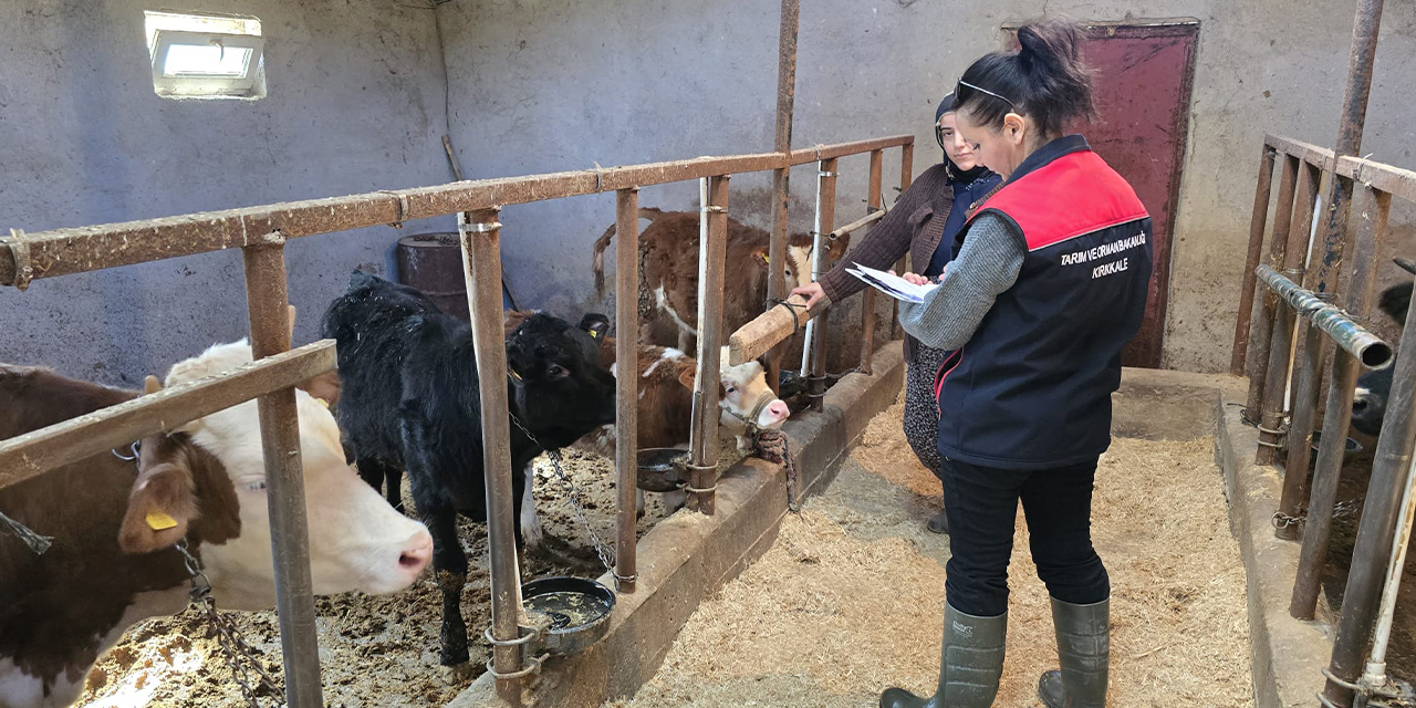 Kırıkkale’de hayvanlar mercek altında: Aman dikkat!