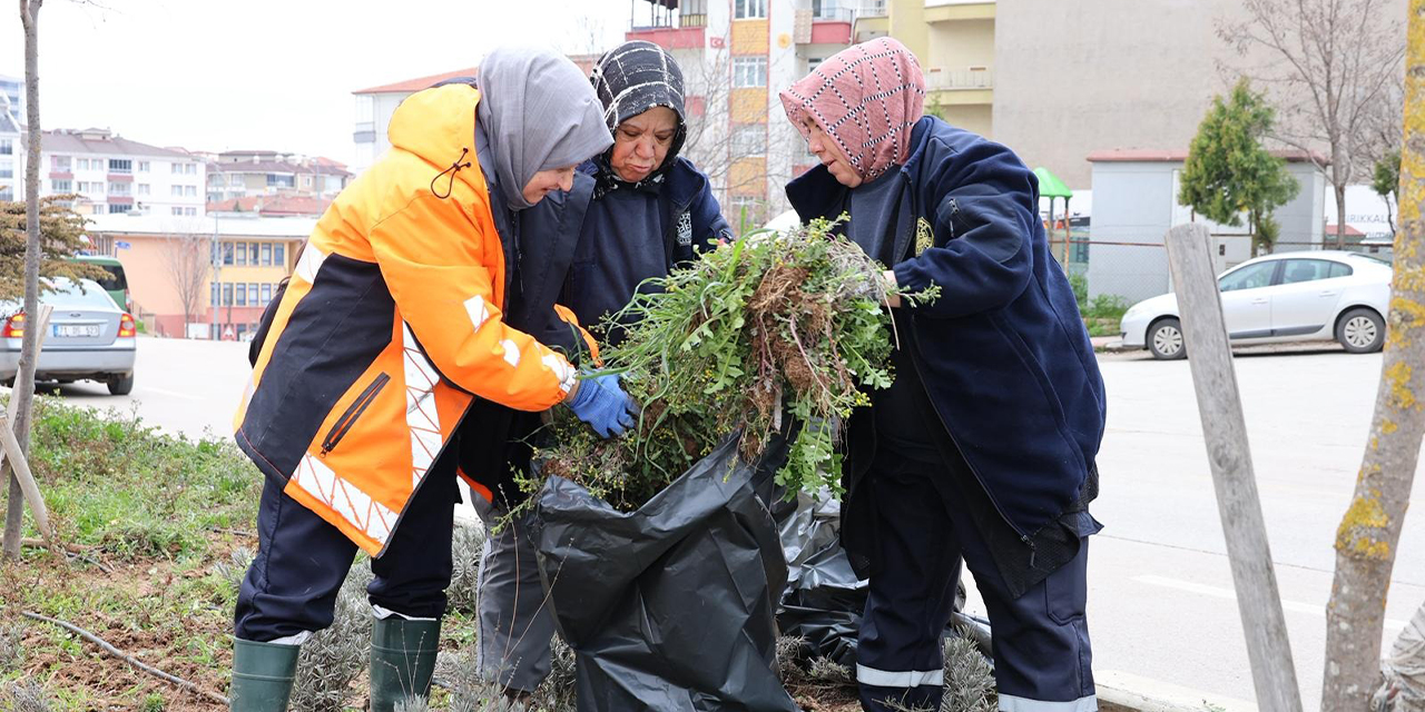 Alparslan Türkeş Bulvarı’nda yoğun peyzaj mesaisi