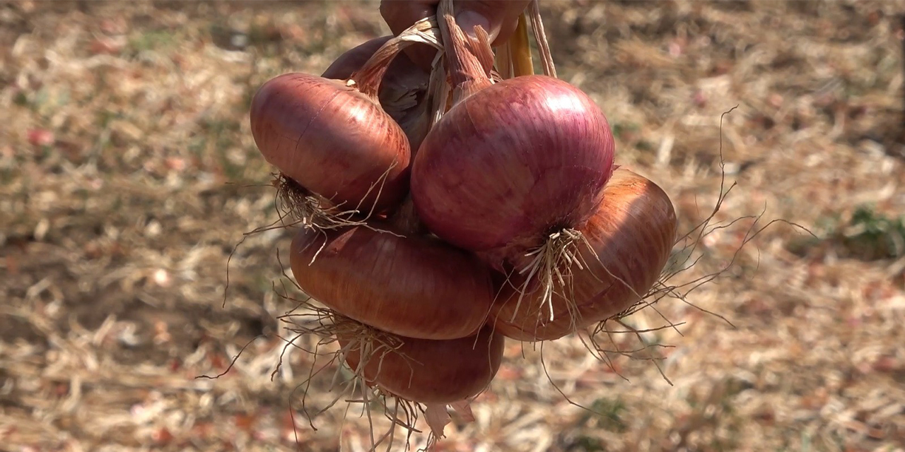 Bozkırın damaklarda unutulmayan lezzetleri