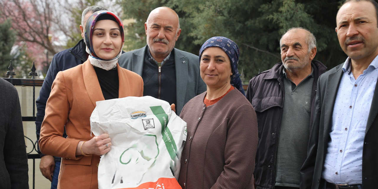 Çelebi’de üreticilere yağlık ayçiçeği tohumu desteği