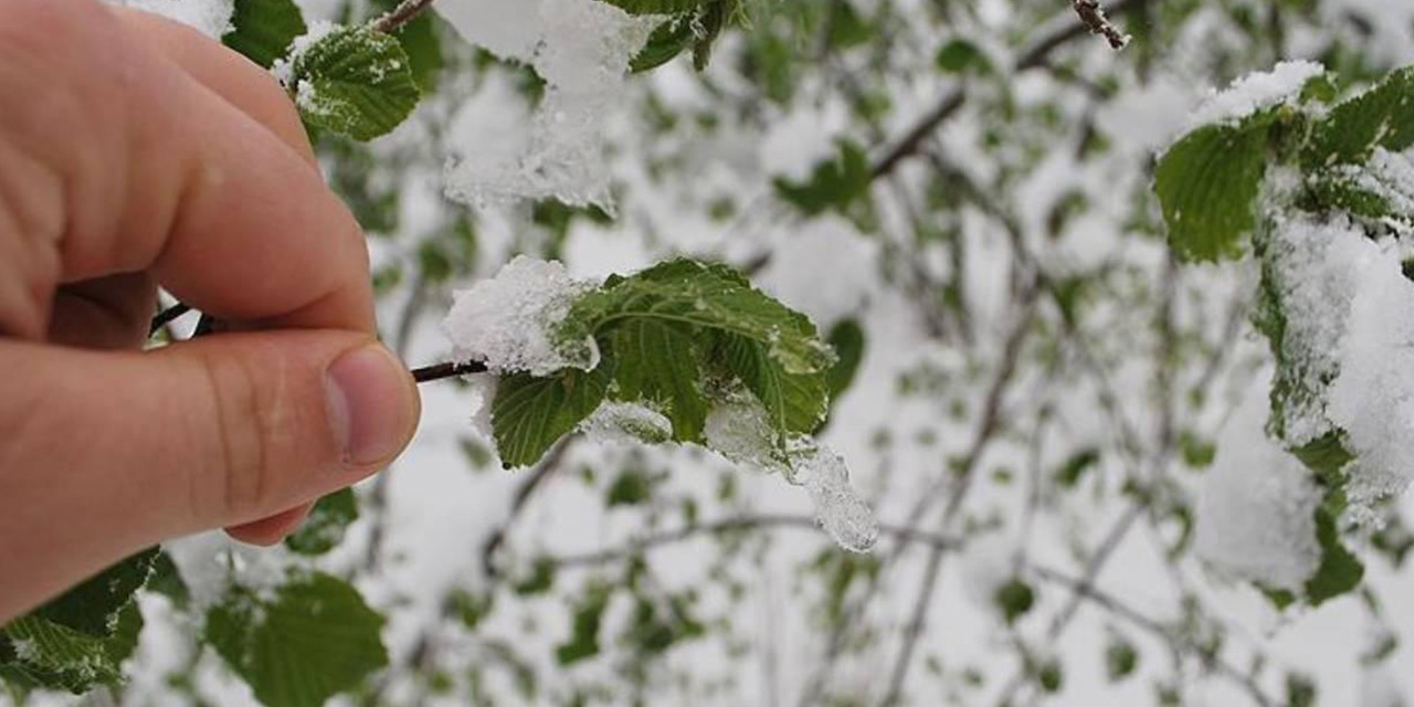 Kırıkkale’de çiftçiler dikkat! Hemen önleminizi alın