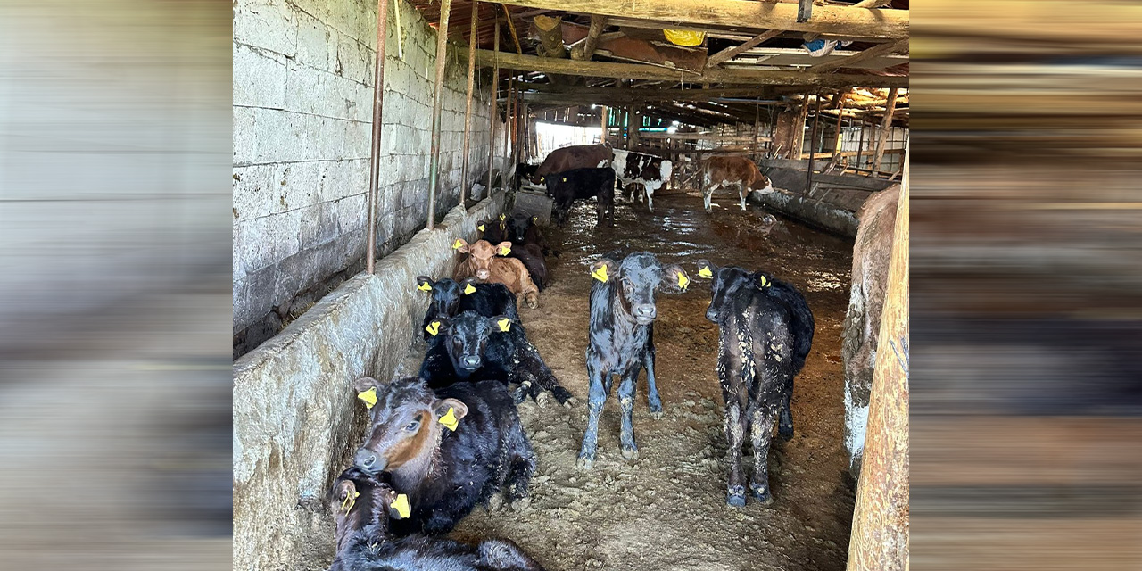 Tarım Projeleri Kırıkkale’de sonuç veriyor