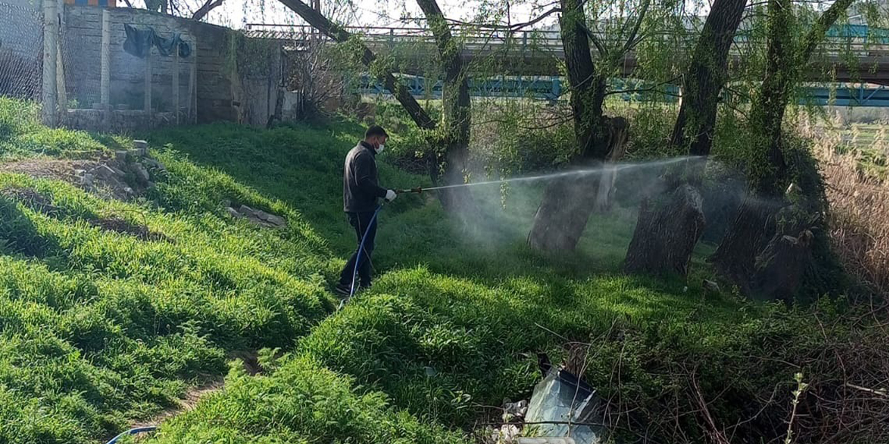 Yahşihan’da sazlık alanlarda ilaçlama çalışmaları sürüyor