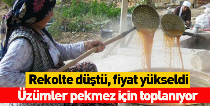 Rekolte düştü, fiyat yükseldi
