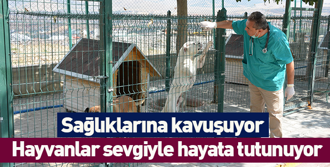Sevgiyle hayata tutunuyor