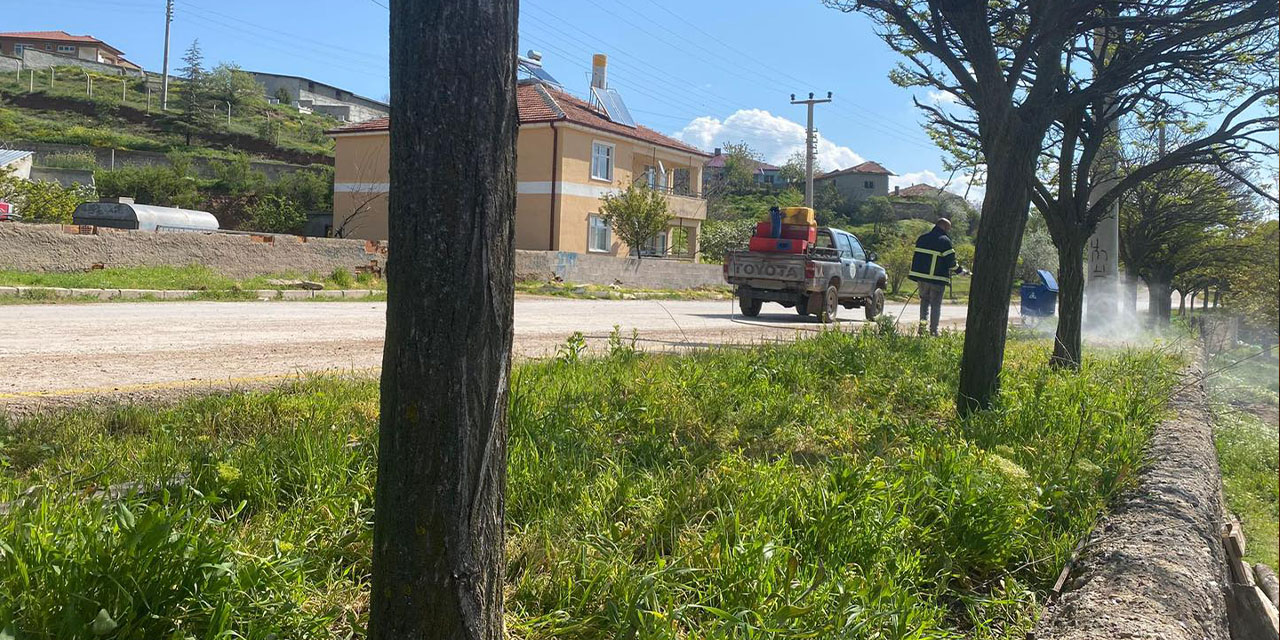 Sulakyurt’ta park ve yeşil alanlarda yoğun ilaçlama