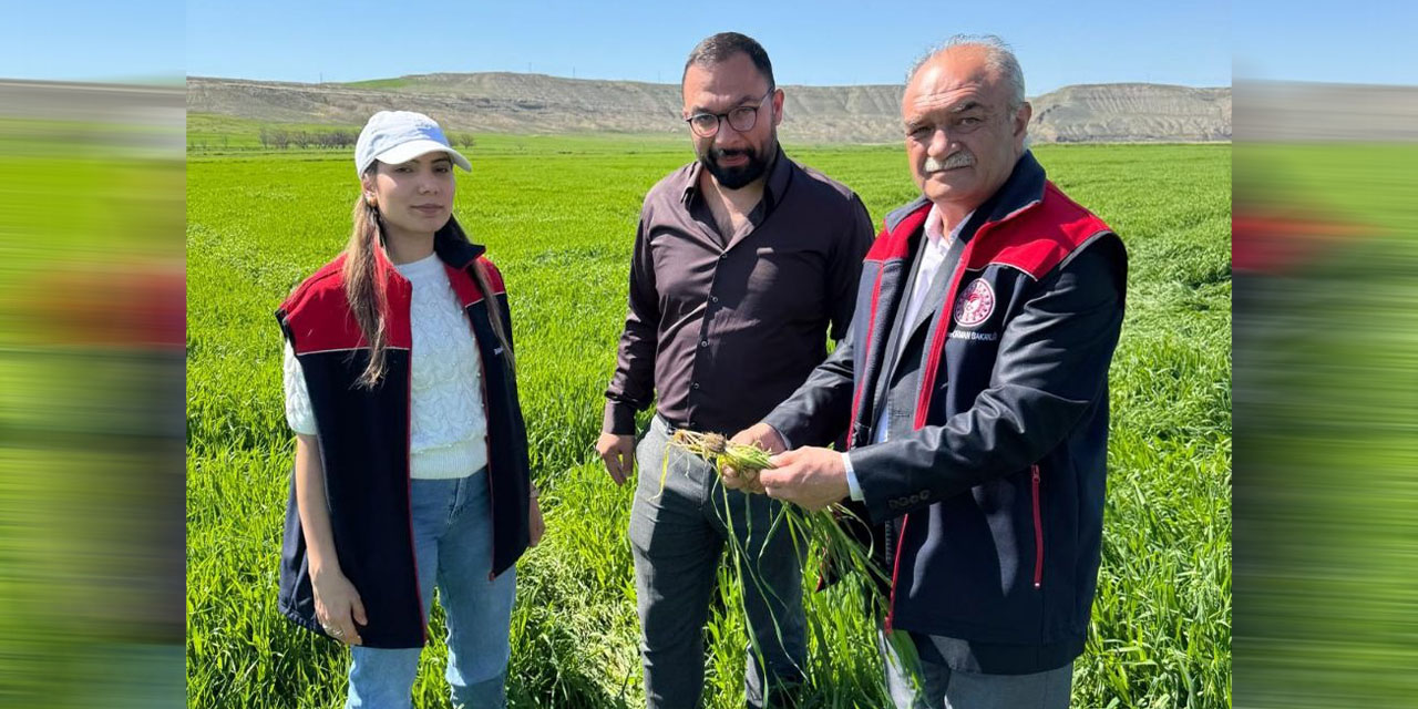 Tarım ekipleri denetimlerini sıklaştırdı