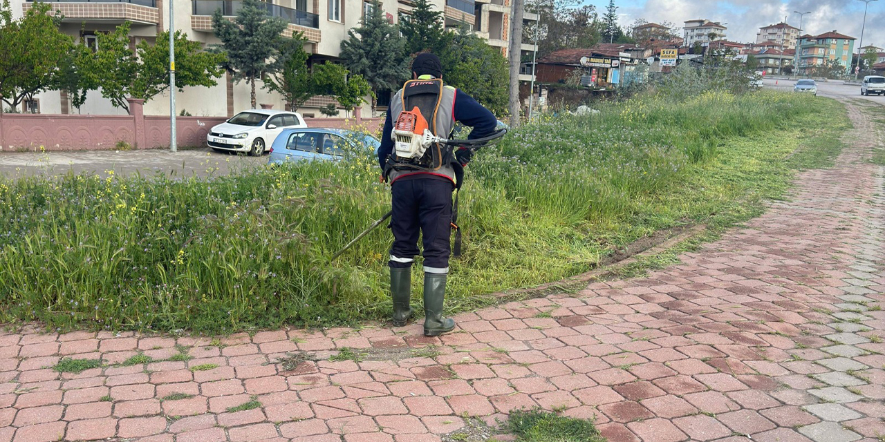 Mahalle aralarında yabani otlar temizleniyor