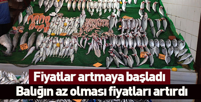 Balığın az olması fiyatları artırdı