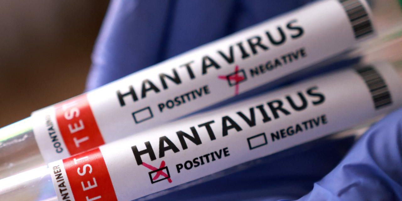Hanta virüsü nedir, Hanta virüsü nasıl bulaşır, Hanta virüsü nasıl geçer