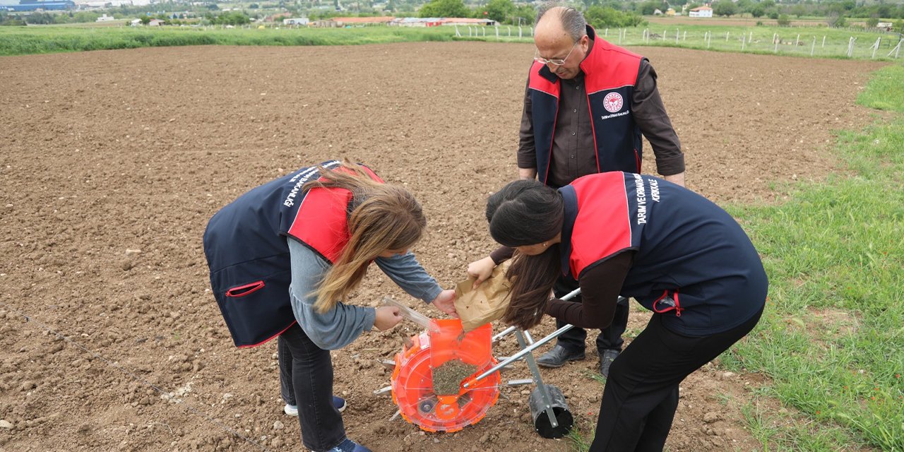 Kadın çiftçiler için yem karpuzu projesini başlattı