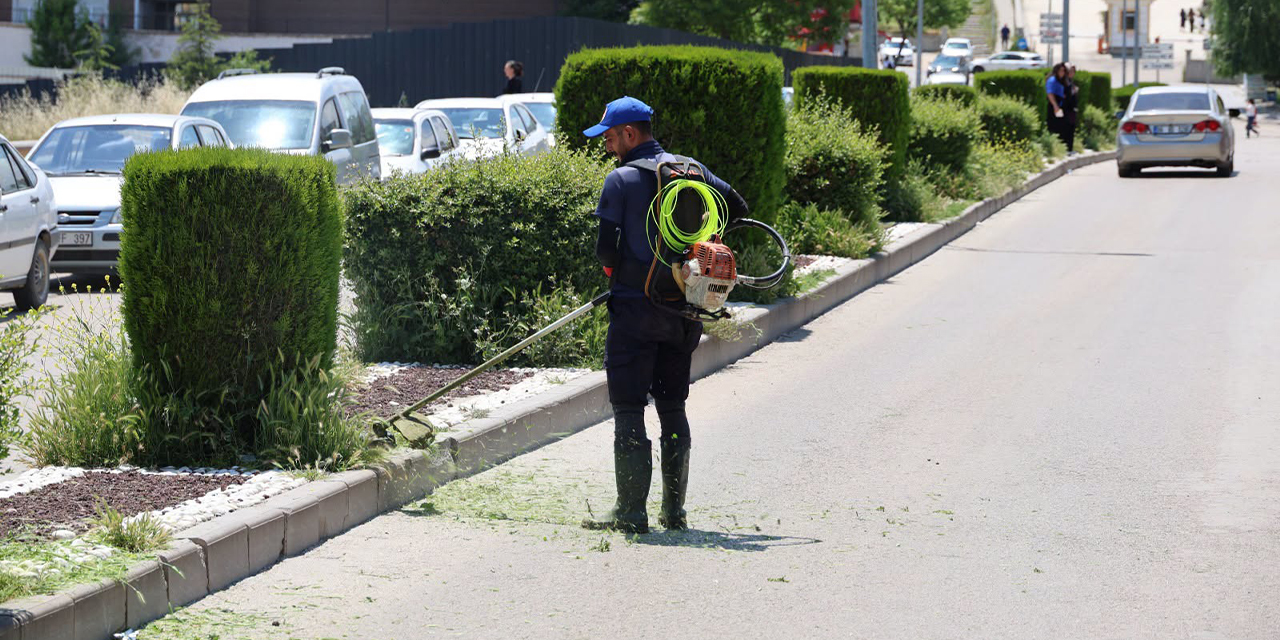 Şehir genelinde yabani otlar temizleniyor