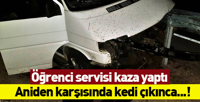 Minibüs kaza yaptı