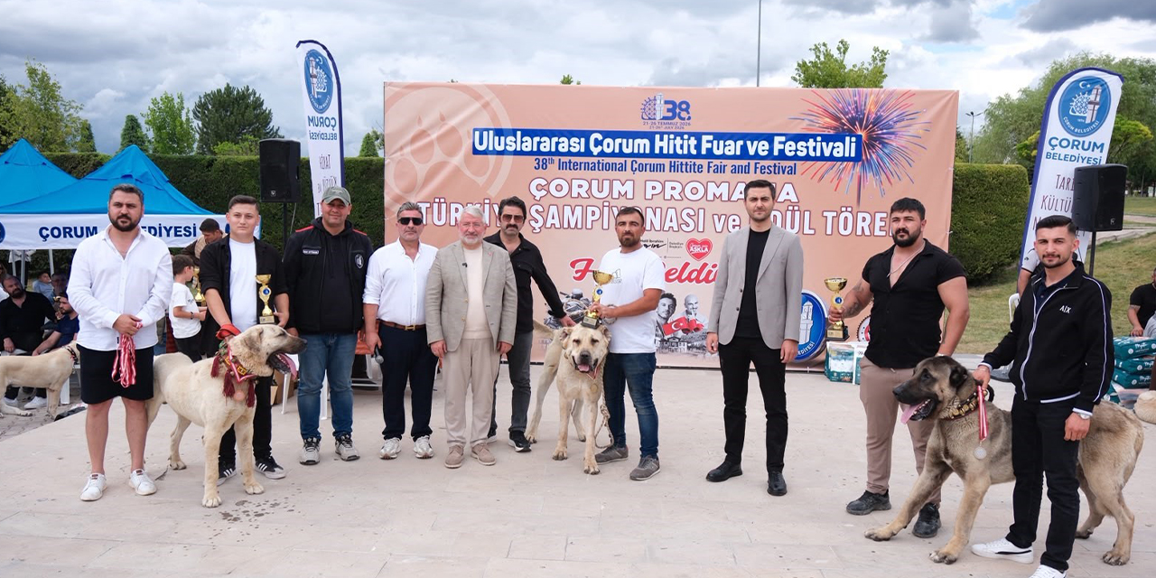 Kırıkkale’de Türk Çoban Köpekleri yoğun ilgi gördü