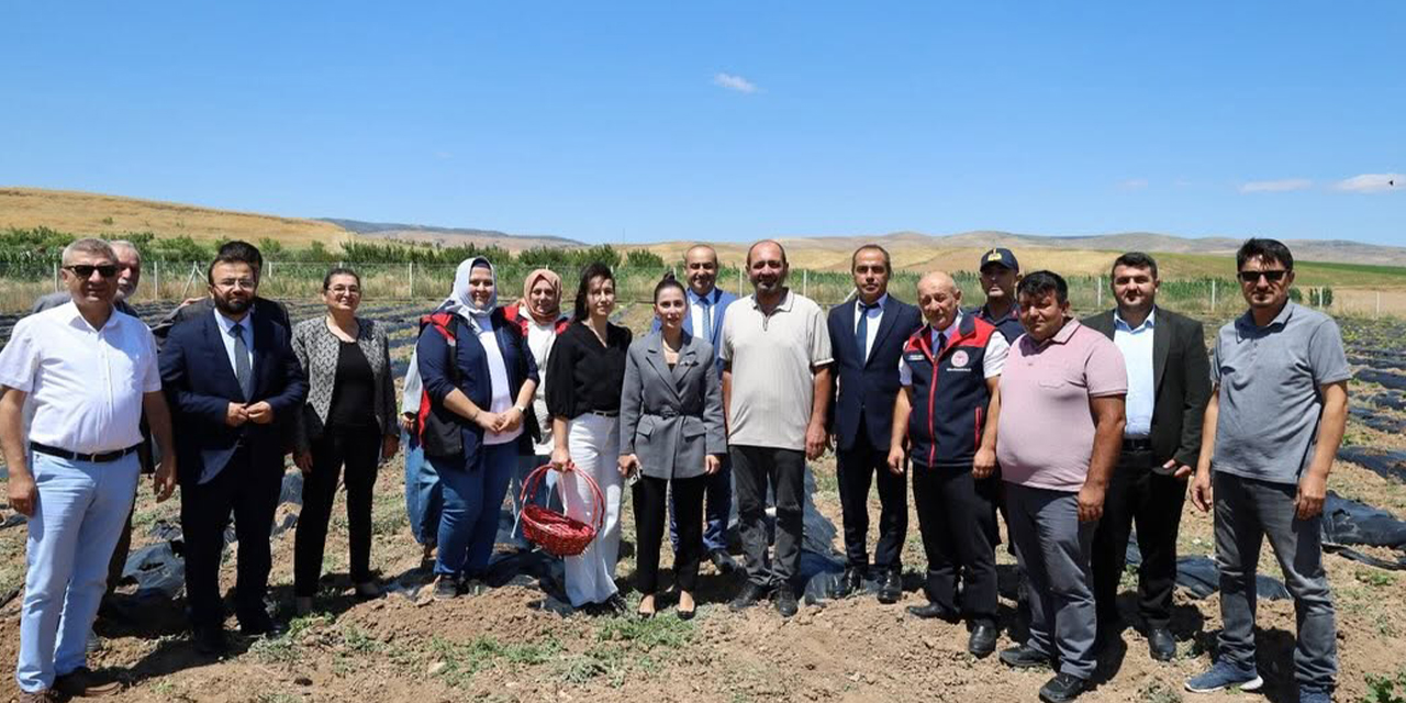 Bahşılı'da kadın üreticiler lavanta ve çilek hasadında bir araya geldi