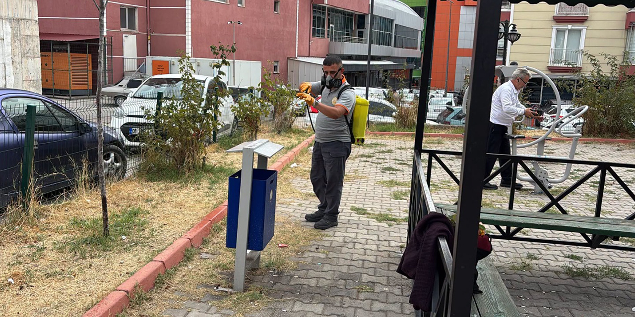 Kırıkkale’de sonbaharla birlikte ekipler harekete geçti! Çalışmalar kent geneline yayıldı