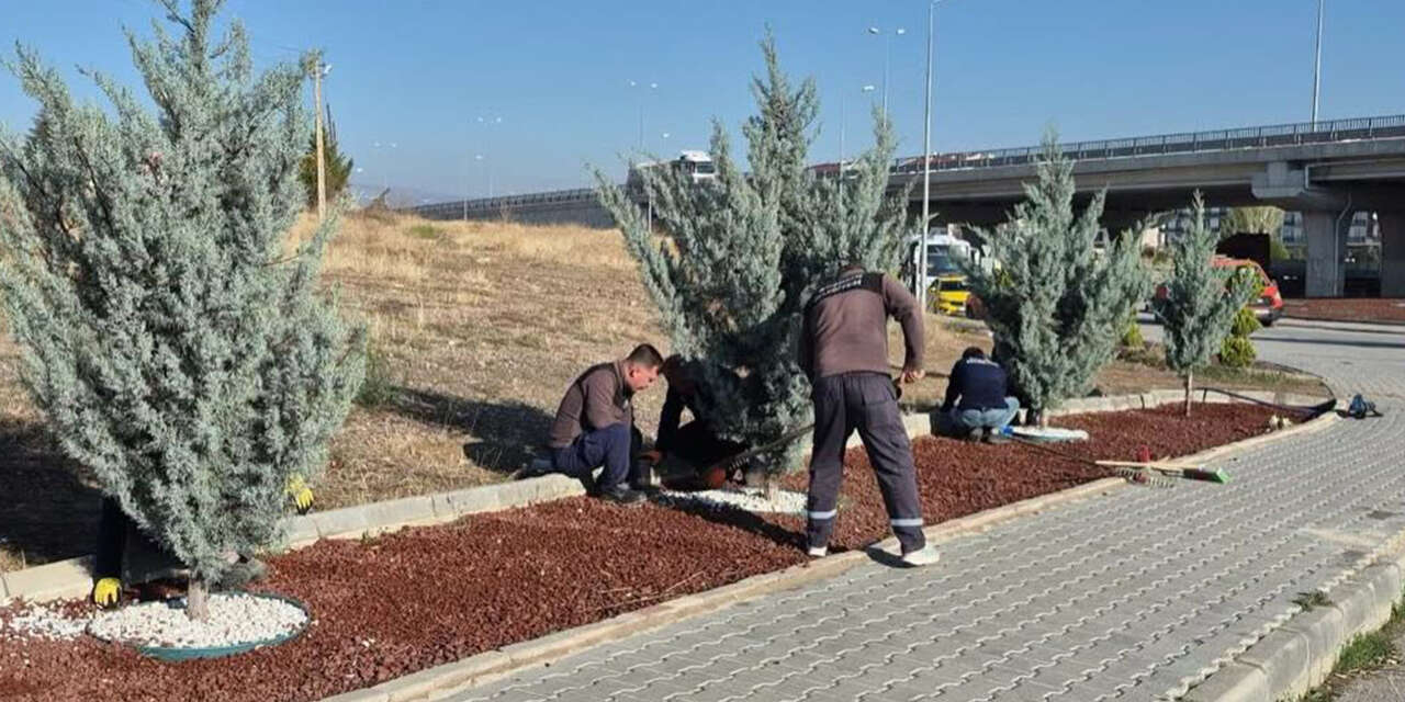 Yahşihan’ın cadde ve yeşil alanlarında bakım mesaisi