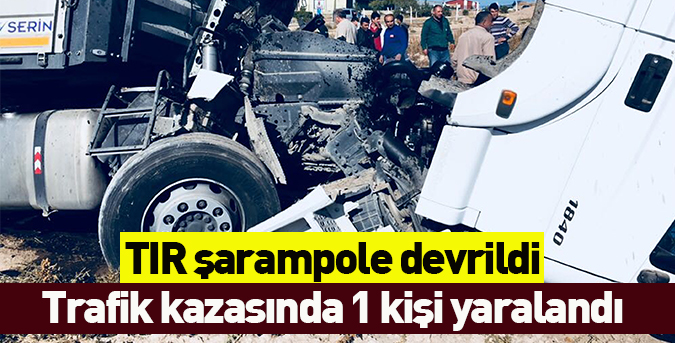TIR şarampole devrildi